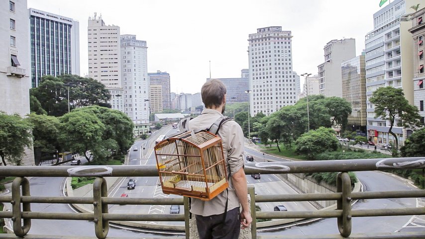 Wie%20ich%20meinem%20Vogel%20die%20Welt%20erkla%CC%88re