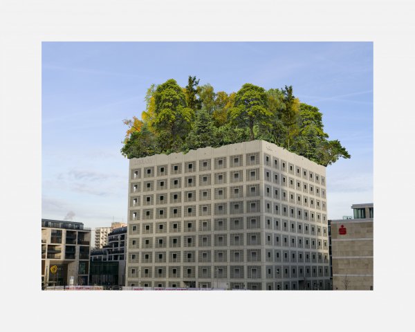 Schwa%CC%88bischer%20Bannwald