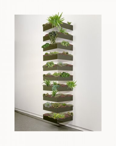Urban%20Gardening%20%28with%20Donald%20Judd%29-%20wei%C3%9Fer-beiger%20Rand_1