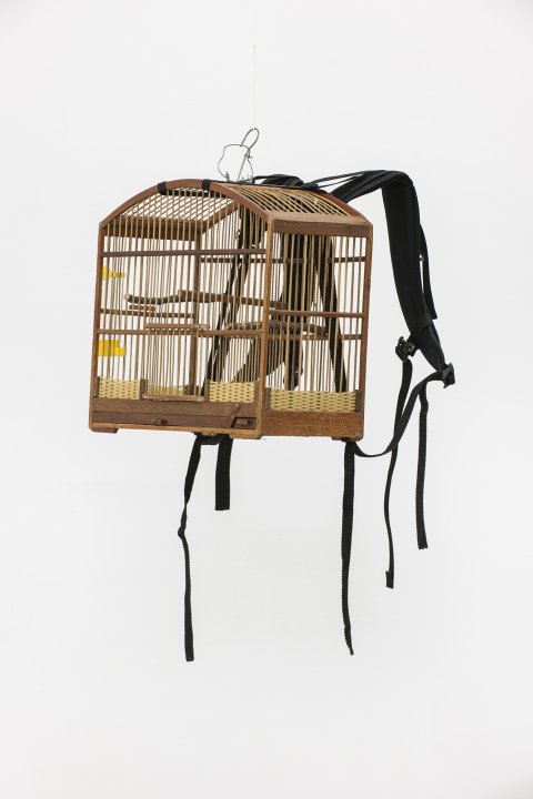 Wie%20ich%20meinem%20Vogel%20die%20Welt%20erkla%CC%88re%20-%20Vogelka%CC%88fig-small