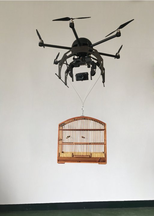 Original Drohne mit Käfig, 140 x 80cm Drohne%20ohne%20wei%C3%9Fen%20Rand