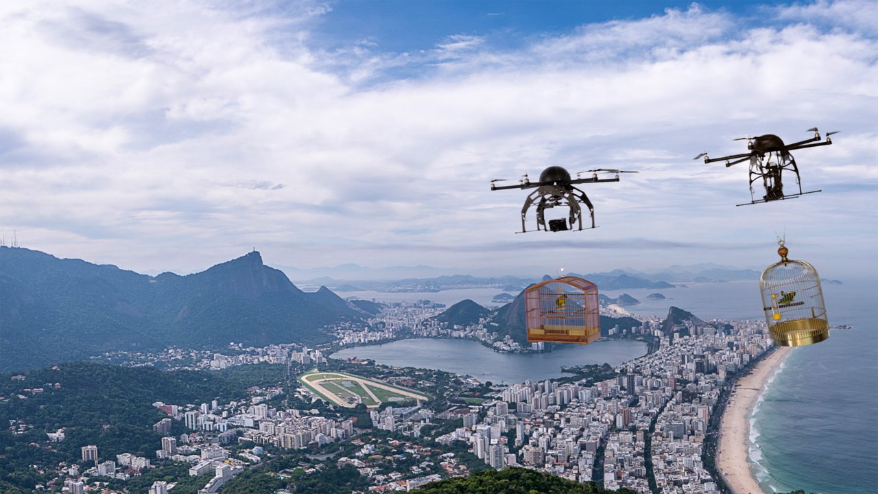 Liberation%204.0%20-%202%20irma%CC%83os%20