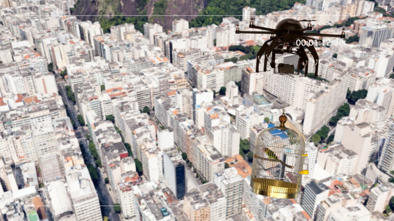 Liberation%204.0%20-%20Kamerasucher-Copacabana