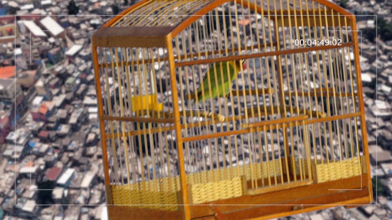 Liberation%204.0%20-%20Rocinha%20II