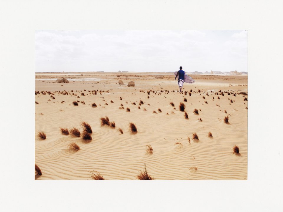 Wu%CC%88ste%20mit%20Grasbu%CC%88scheln