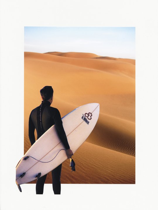 in%20Sandwu%CC%88ste%20von%20Hinten